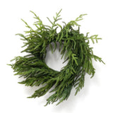 Wreath - Norfolk Pine - 16" D