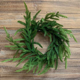 Wreath - Norfolk Pine - 16" D