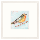 Bird Variety IV