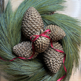 Wreath - Long Needle Pine - 26" D