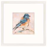 Bird Variety III