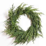 Wreath - Norfolk Pine - 22" D