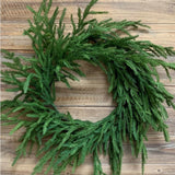 Wreath - Norfolk Pine - 22" D