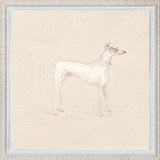 Collection 24 - Pastel Dog Study C. 1820