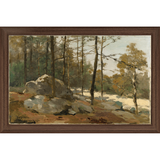 Forest Scene