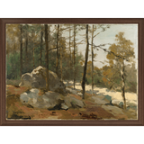 Forest Scene