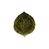 Riviera Forets Hydrangea Leaf Salad & Dessert Plate - Set of 6