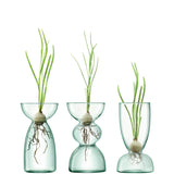 Canopy Trio Vase Set