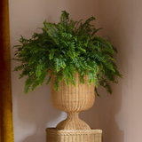 Eleanor - Wicker Urn