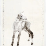 Les Petits Childrens Series