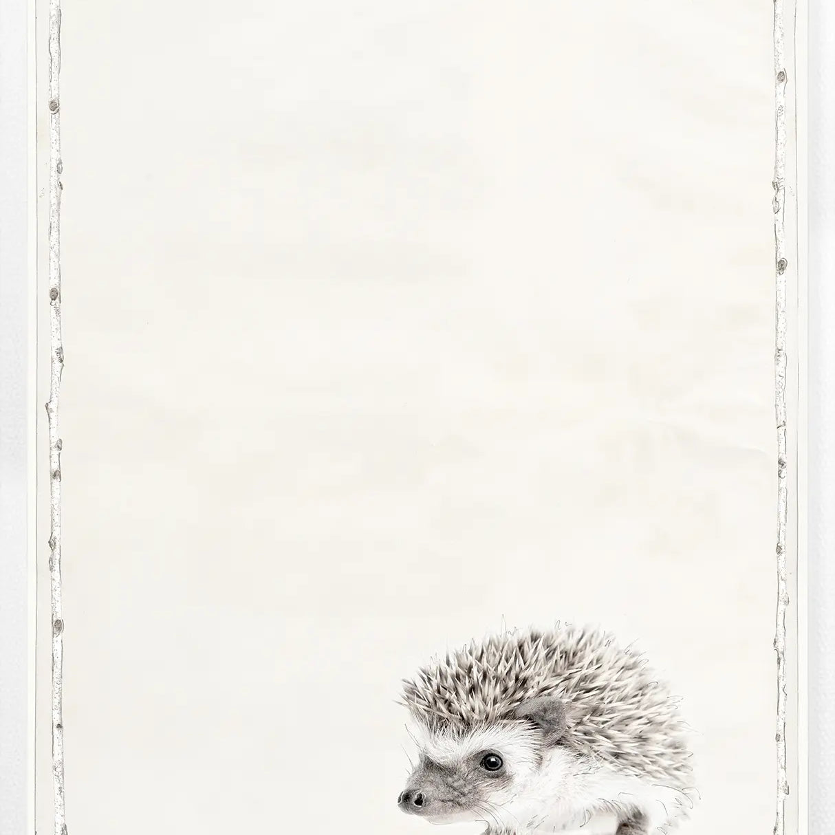 Les Petits Childrens Series