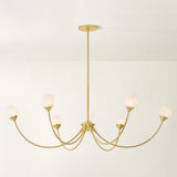 Natasha Chandelier