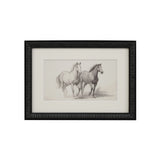 Horse Sketches