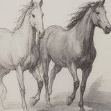 Horse Sketches
