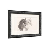 Horse Sketches