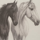 Horse Sketches