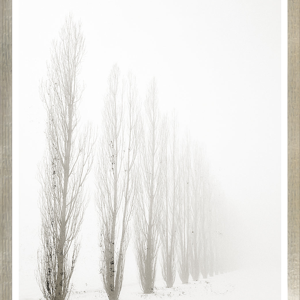 Taupe Aspect I