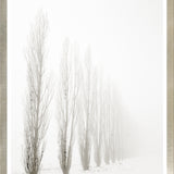 Taupe Aspect I