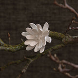 Bone China Curled Magnolia Flower - White