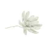 Bone China Curled Magnolia Flower - White