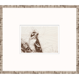 Nature Sketch Woodpecker II