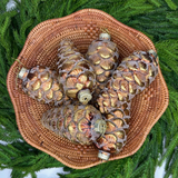Frosted Pinecone Ornament