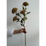 Faux Ochre Scabiosa Spray - 26" L