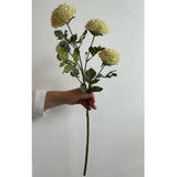 Faux Cream Scabiosa Spray - 26" L